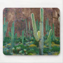 Suche nach klippe mousepads Anna miller