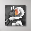 Suche nach pfirsichfarben leinwandbilder Blume