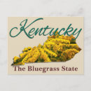 Suche nach goldrute postkarten Kentucky