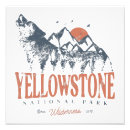 Recherche de wolf posters Parc national