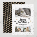 Suche nach christmas katze schwarz karten Foto
