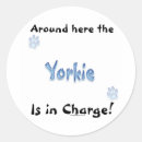 Recherche de yorkshire terrier autocollants Vacances