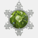 Recherche de arbres de bouleau ornements Pour tous