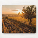 Suche nach goldgelb mousepads Landschaft