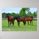 Suche nach drei pferde poster Bauernhof