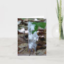 Suche nach waldland kleine grußkarten Pflanze