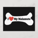 Recherche de malamute cartes postales Amoureux des chiens