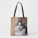 Suche nach katzenliebhaber taschen Katzenmutter