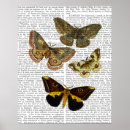 Suche nach motten poster Schmetterling