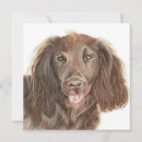 Recherche de cocker spaniel vœux cartes Animal