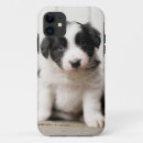 Suche nach border collie iphone hüllen Welpe