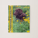 Recherche de californie puzzles Beau