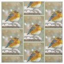 Suche nach singvogel stoffe Vogelvogel
