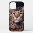 Recherche de maine coon iphone coques Animal