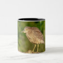 Recherche de de héron tasses Faune