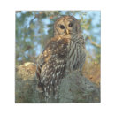 Suche nach draußen notizblock Wald