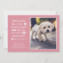 Suche nach cat dog postkarten Modern