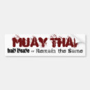 Suche nach kampfkünste autoaufkleber Mixed martial arts