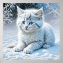 Suche nach katze im schnee poster Tiere