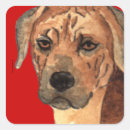 Suche nach rhodesian ridgebacks aufkleber Rhodesien rassenkarte