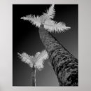Suche nach conni poster Infrared