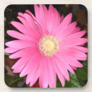 Recherche de marguerite gerbera dessous de verres Fleur