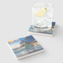 Suche nach arabische pferde untersetzer Hengst