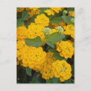 Recherche de ami spécial cartes postales Pour tous