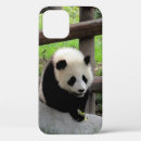 Recherche de panda géant iphone coques Animal