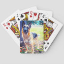 Recherche de canines photographie Berger