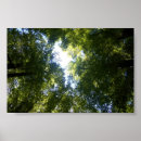 Suche nach nz poster Neues zealand