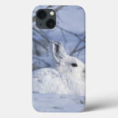 Recherche de abris de faune Refuge