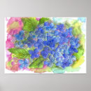 Suche nach hydrangea blume poster Hydrangeas