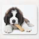 Recherche de st bernard tapis souris Saint