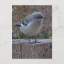 Suche nach spott postkarten Natur