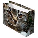 Recherche de contact visuel Animal