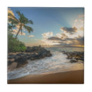 Recherche de marée carreaux Littoral