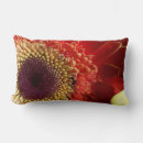 Suche nach orange gerbera wohnen zuhause Rot