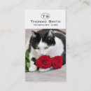 Recherche de joli chat cartes visite Chaton