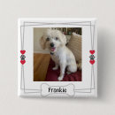 Recherche de un animal badges Amoureux des chiens