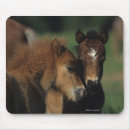 Suche nach miniatur alle mousepads Reiter