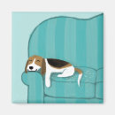 Recherche de dormant magnets Chien