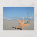 Suche nach seestern postkarten Sandsand