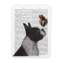 Recherche de de boston magnets Terriers