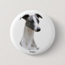 Suche nach whippet buttons Haustier