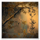 Suche nach art forms in nature poster Baum