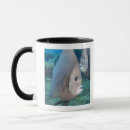 Recherche de climat tasses Jour