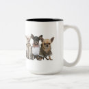 Recherche de chiots de chiwawa tasses Animal
