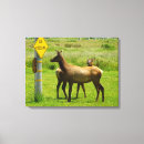 Suche nach wildlife leinwandbilder Tierwelt