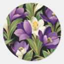 Suche nach lila krokus aufkleber Blumenreich